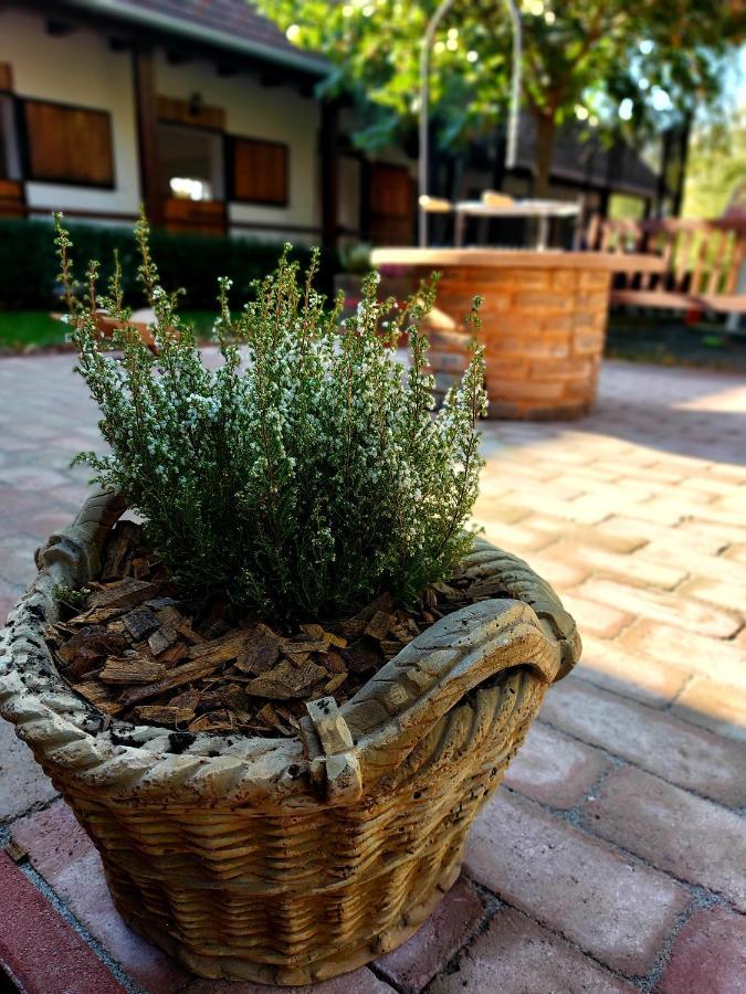 Akacos Tanya Es Vendeghaz Hotel Marok Bagian luar foto